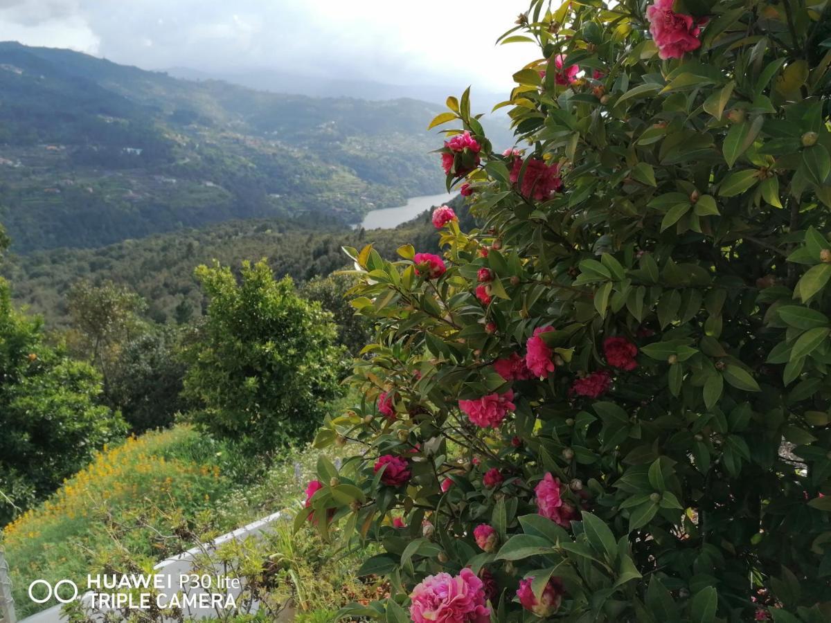拜昂Casa Douro Terrace别墅 外观 照片